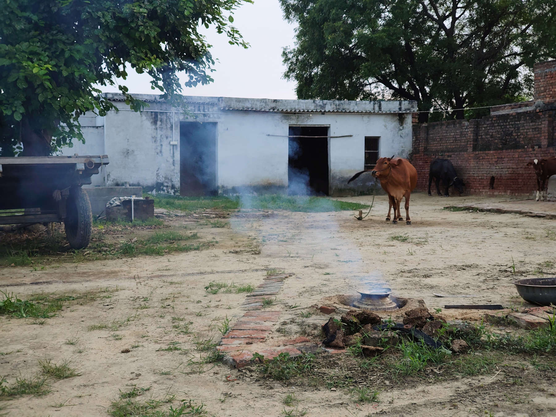 Saidbhar village landscape